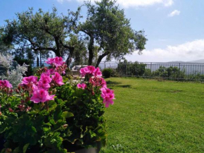 Casa Vista Mare - Superb garden and parking includ, Imperia